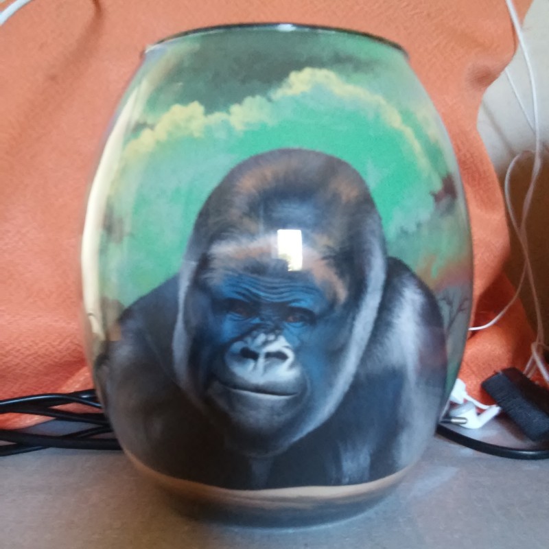 40 Zandschildering Gorilla