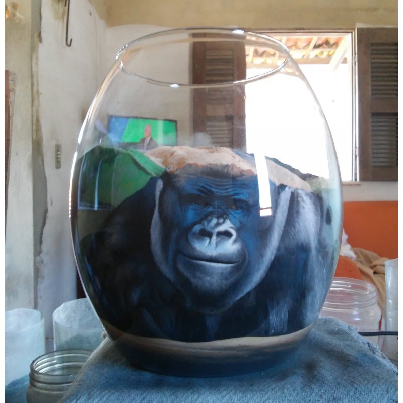 40 Zandschildering Gorilla - Afbeelding 4