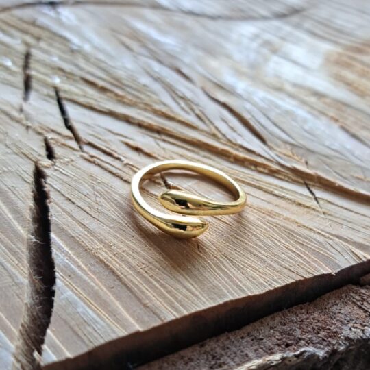 Ring 003